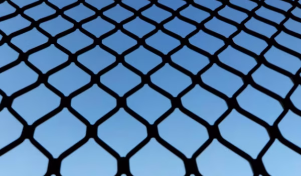Wire Mesh